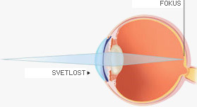 normalno ljudsko oko